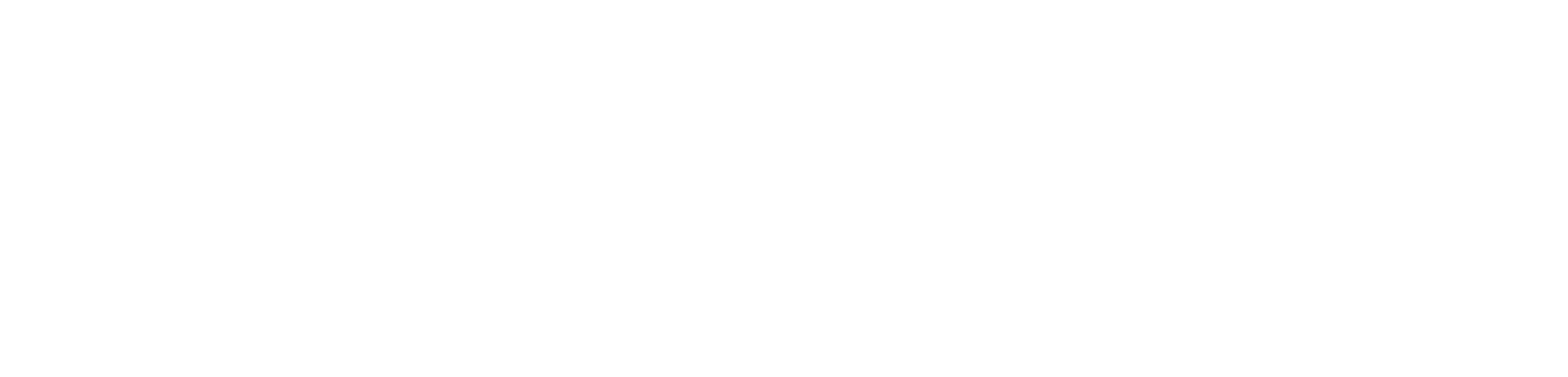 en - audio consulting group